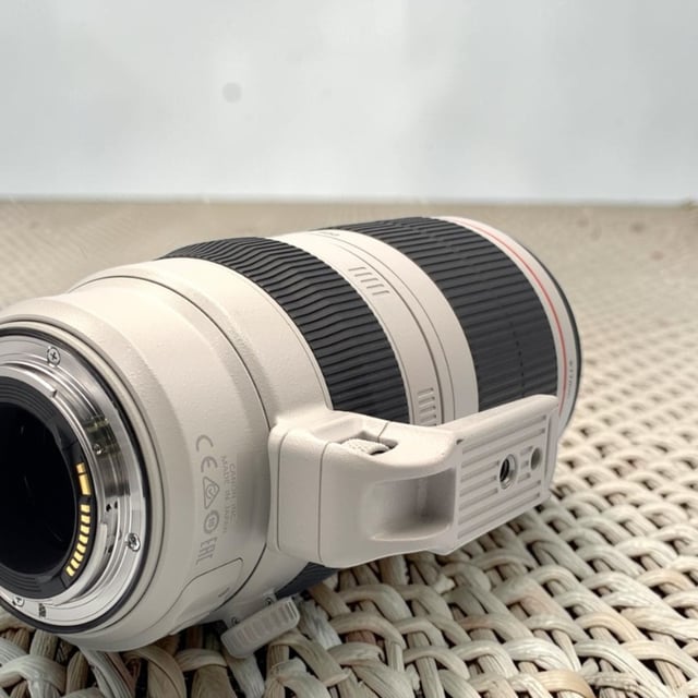 EF 100-400mm F4.5-5.6L IS II USM