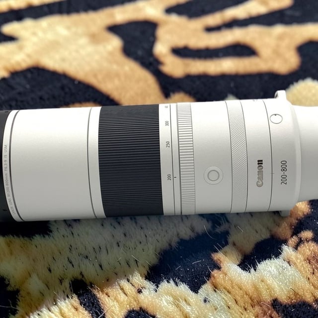 RF 200-800mm F6.3-9 IS USM