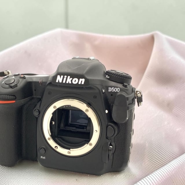 D500 ボディ