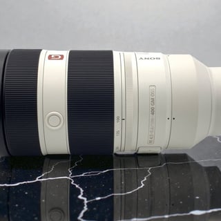 FE 100-400mm F4.5-5.6 GM OSS SEL100400GM