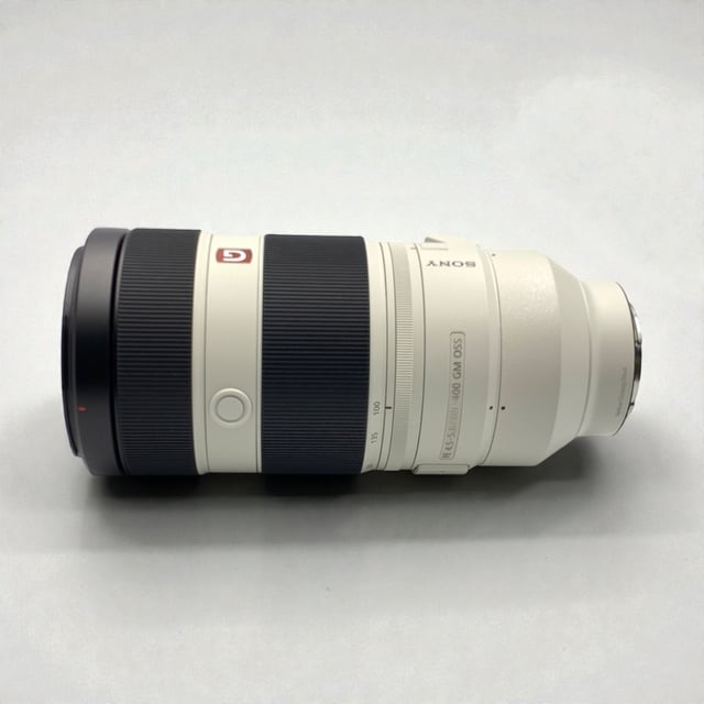 FE 100-400mm F4.5-5.6 GM OSS SEL100400GM