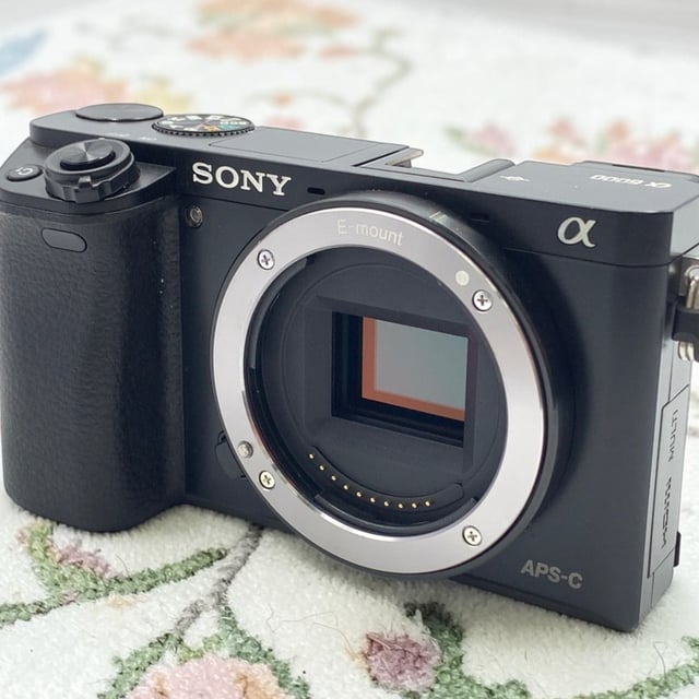 α6000 ILCE-6000 ボディ