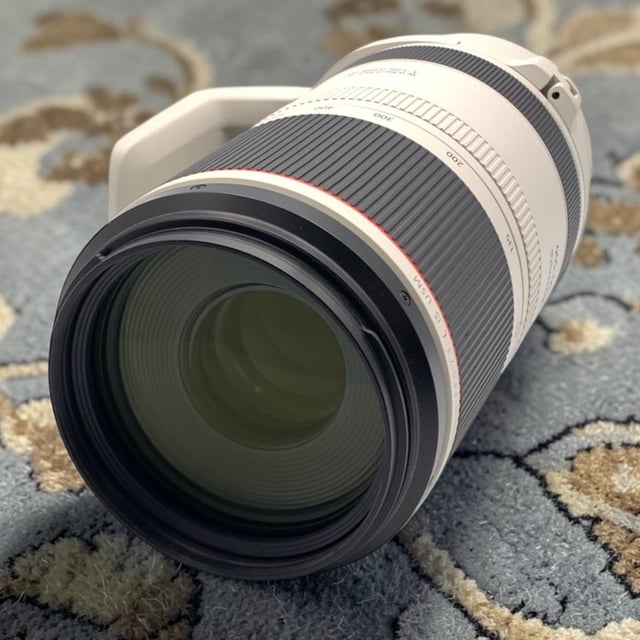 RF 100-500mm F4.5-7.1 L IS USM