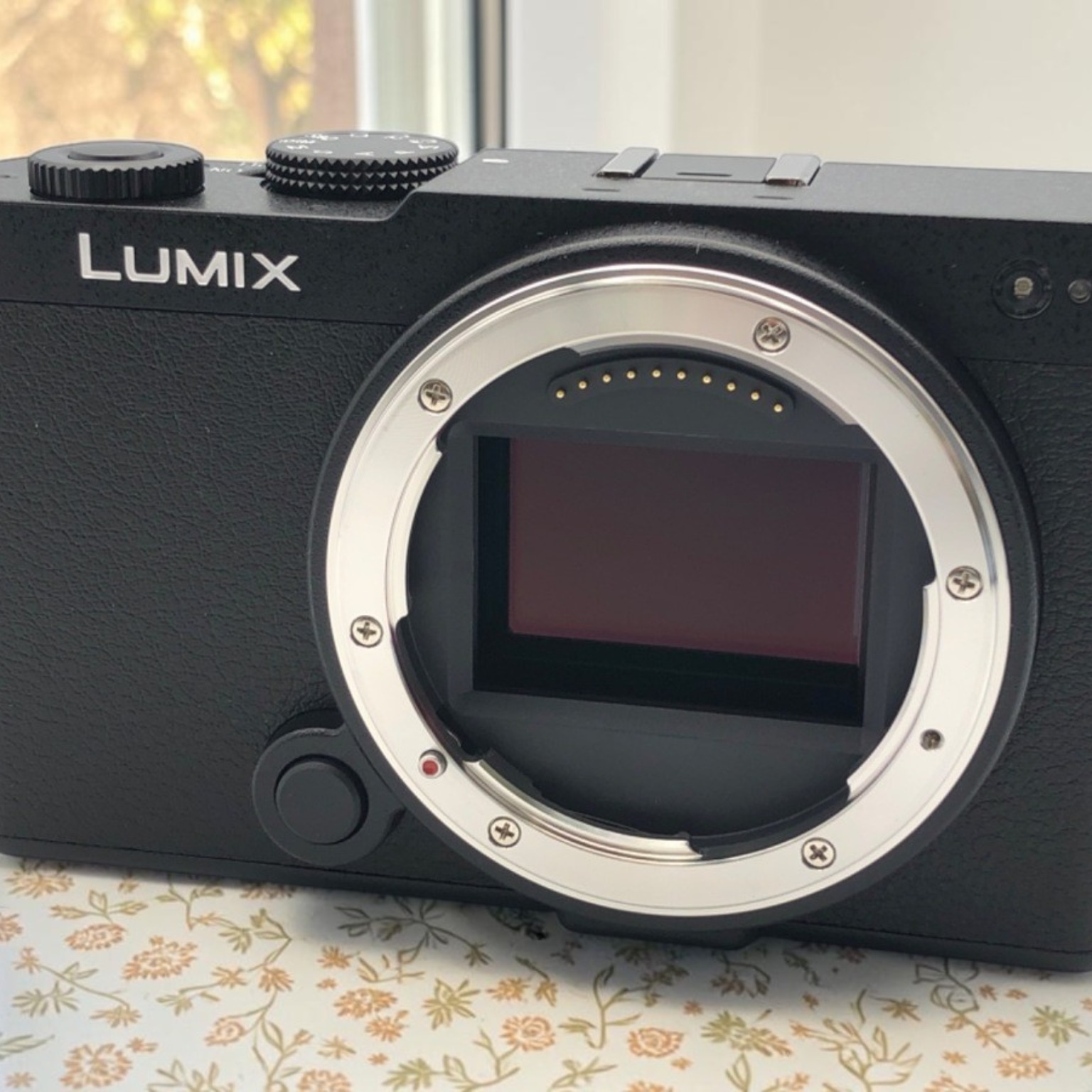 パナソニック LUMIX S9(DC-S9) ボディ 