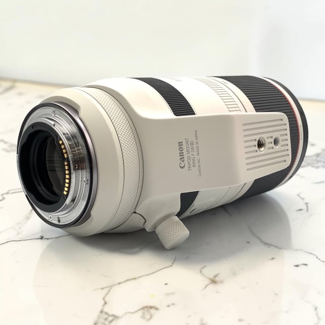 RF 100-500mm F4.5-7.1 L IS USM