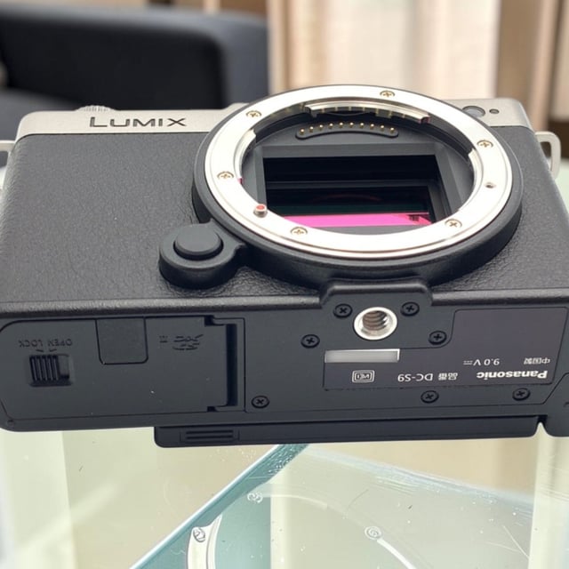 LUMIX S9(DC-S9) ボディ "ダークシルバー"