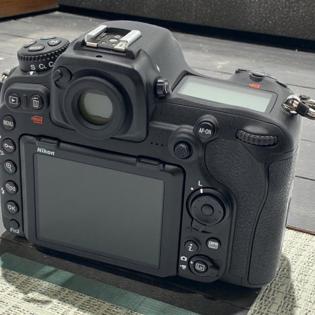 D500 ボディ