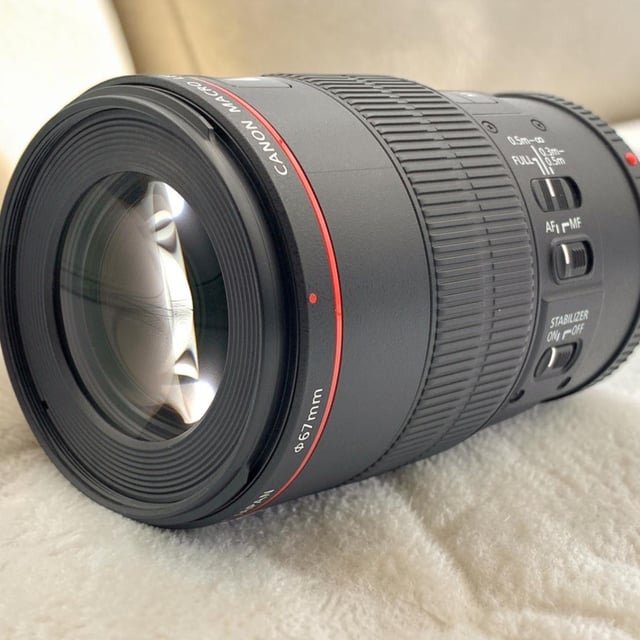 EF 100mm F2.8L マクロ IS USM