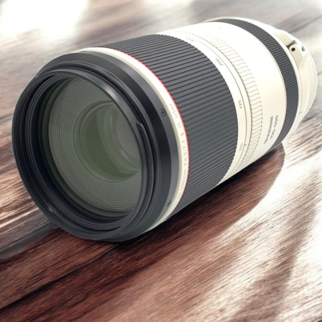 RF 100-500mm F4.5-7.1 L IS USM