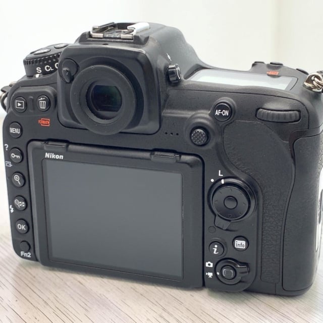 D500 ボディ