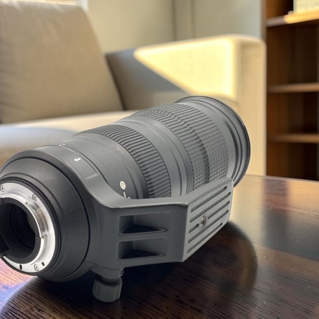 AF-S NIKKOR 200-500mm f/5.6E ED VR