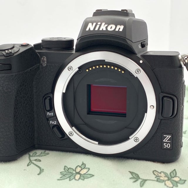 Z50 ボディ