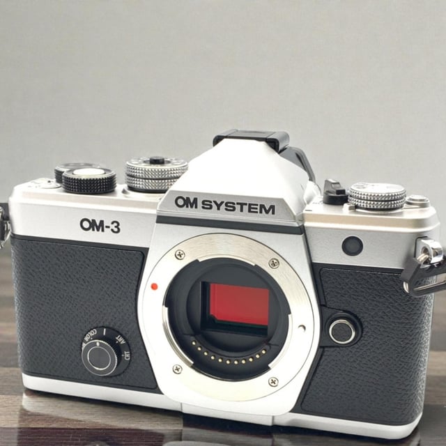 OM-3 ボディ