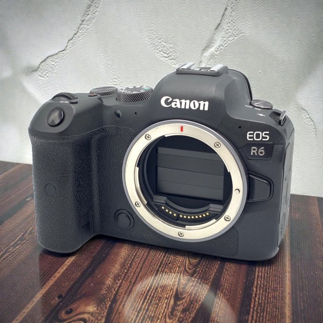 EOS R6 ボディ