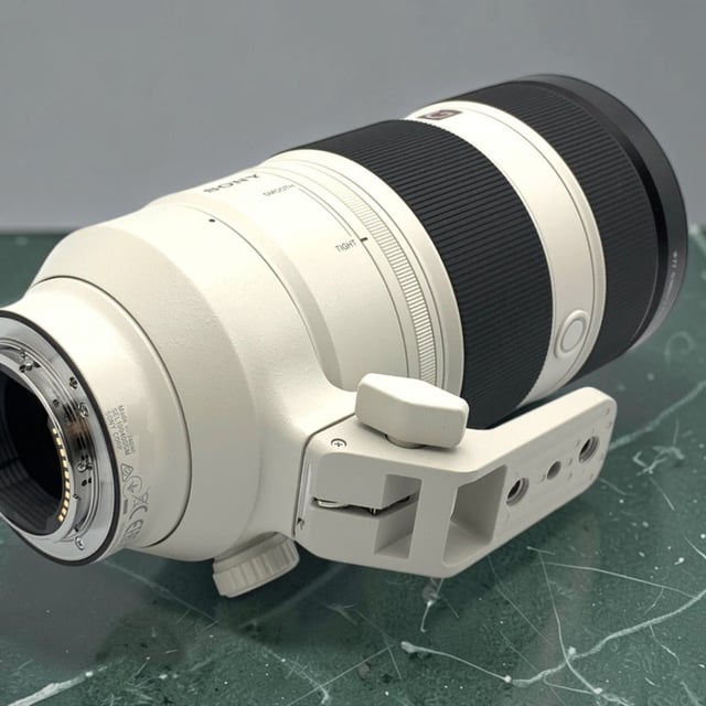FE 100-400mm F4.5-5.6 GM OSS SEL100400GM