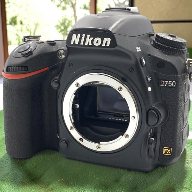 D750 ボディ
