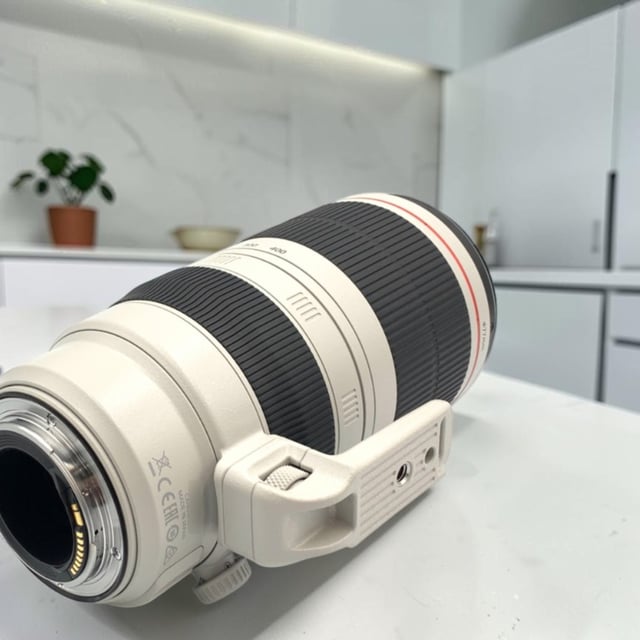 EF 100-400mm F4.5-5.6L IS II USM