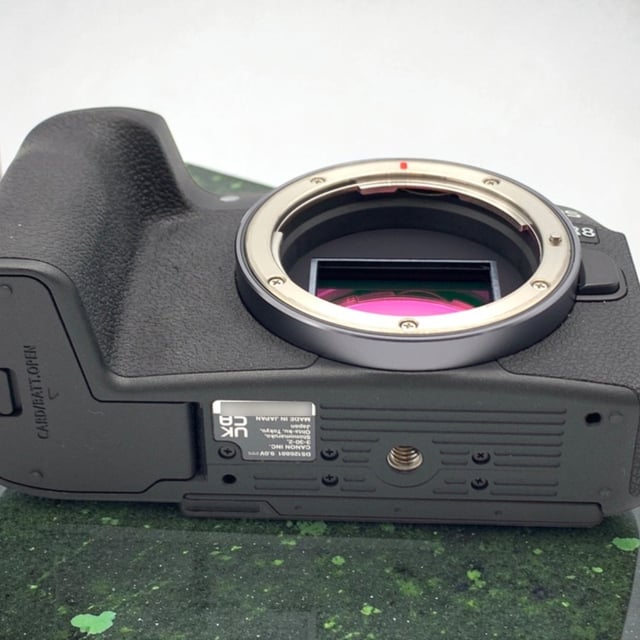 EOS R8 ボディ