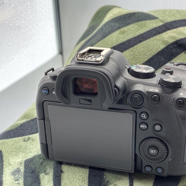 EOS R6 Mark II ボディ