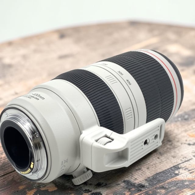 EF 100-400mm F4.5-5.6L IS II USM