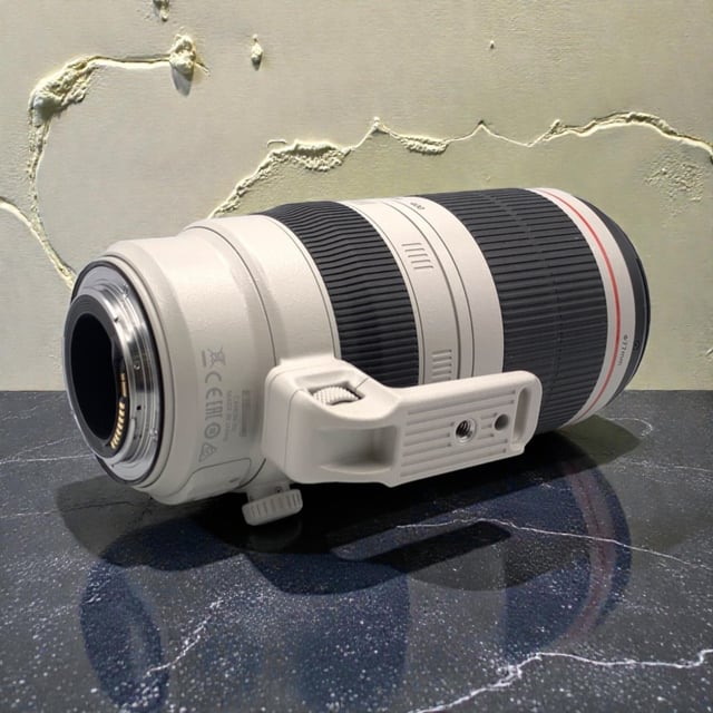 EF 100-400mm F4.5-5.6L IS II USM