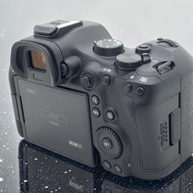 EOS R6 Mark III ボディ