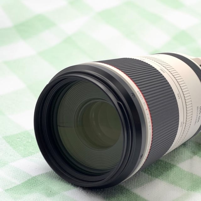 RF 100-500mm F4.5-7.1 L IS USM