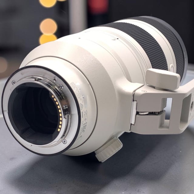 FE 100-400mm F4.5-5.6 GM OSS SEL100400GM