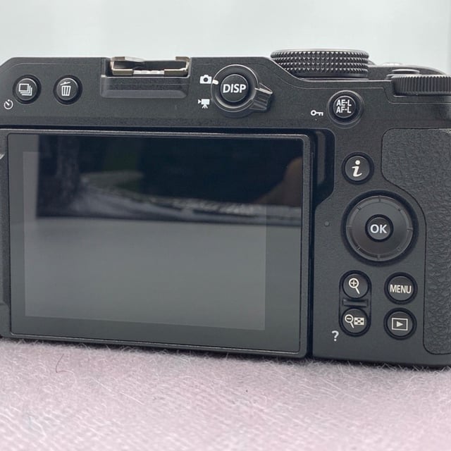 Z30 ボディ