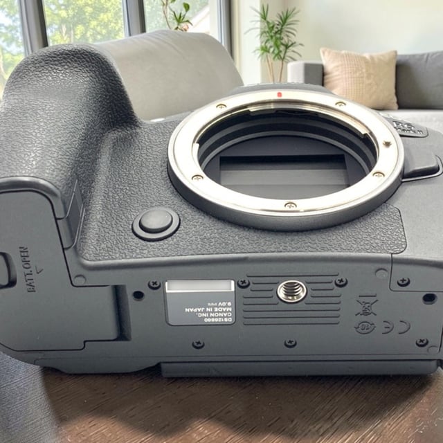 EOS R6 Mark II ボディ