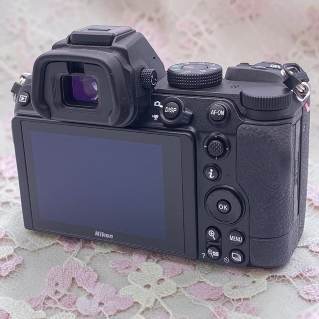Z5 ボディ