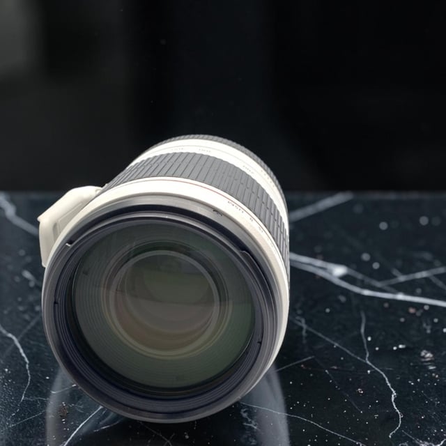 EF 100-400mm F4.5-5.6L IS II USM