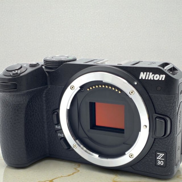 Z30 ボディ