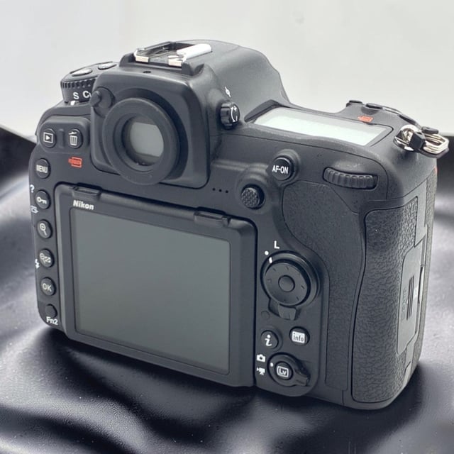 D500 ボディ