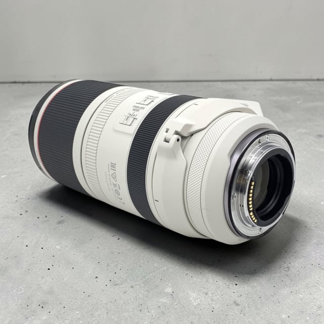 RF 100-500mm F4.5-7.1 L IS USM