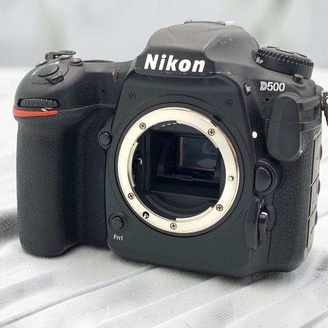 D500 ボディ