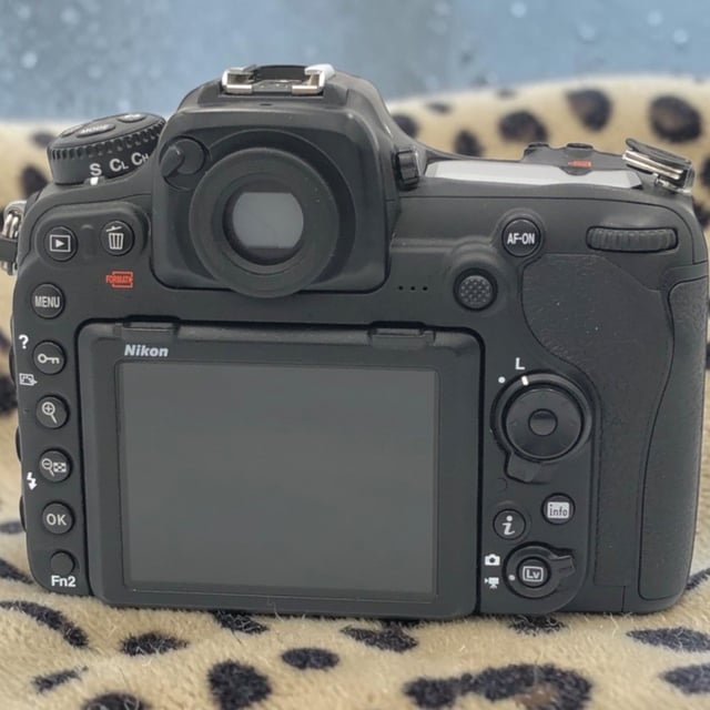 D500 ボディ