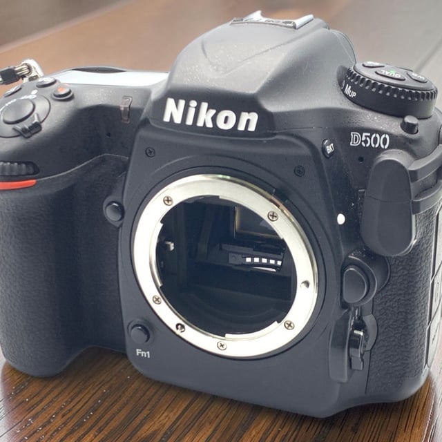 D500 ボディ