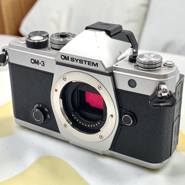 OM-3 ボディ
