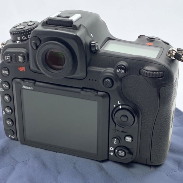 D500 ボディ