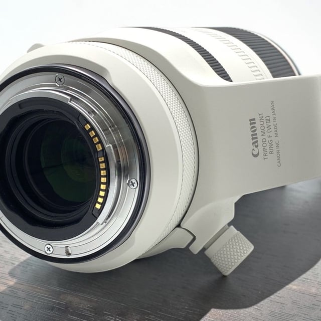 RF 100-500mm F4.5-7.1 L IS USM