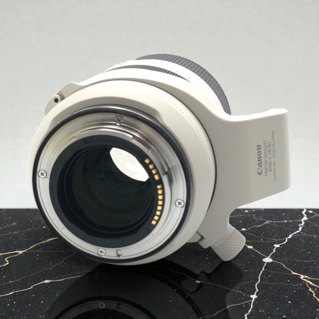 RF 70-200mm F2.8 L IS USM