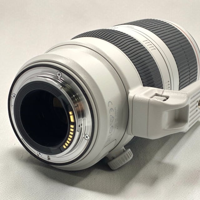 EF 100-400mm F4.5-5.6L IS II USM