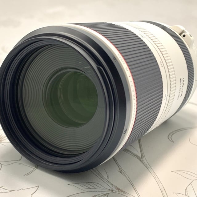 RF 100-500mm F4.5-7.1 L IS USM