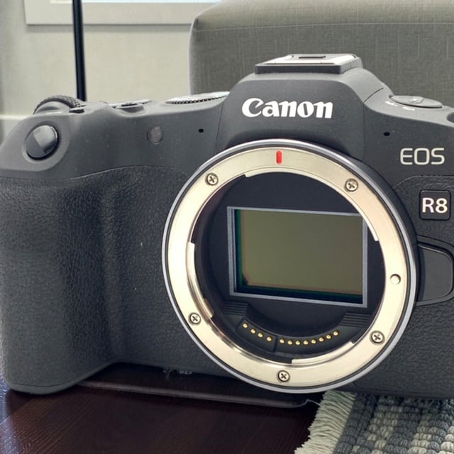EOS R8 ボディ