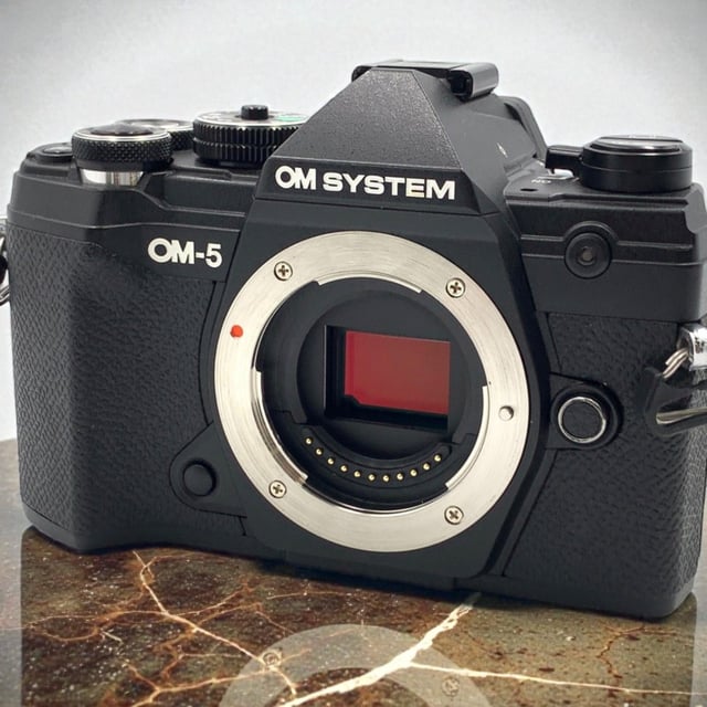 OM-5 ボディ