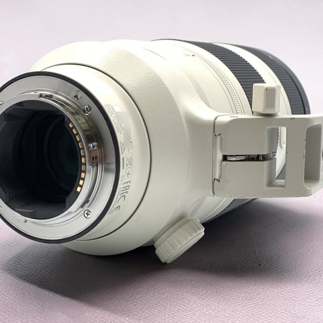 FE 100-400mm F4.5-5.6 GM OSS SEL100400GM