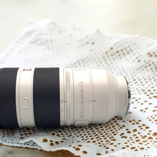 FE 100-400mm F4.5-5.6 GM OSS SEL100400GM