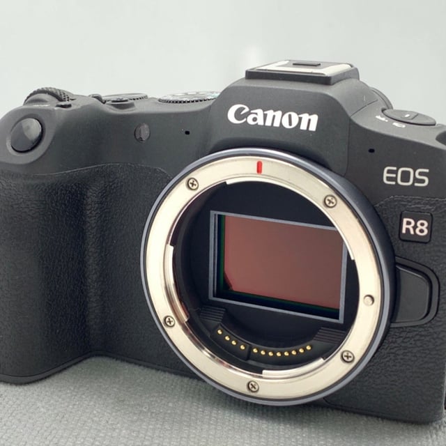 EOS R8 ボディ
