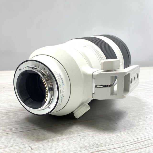 FE 100-400mm F4.5-5.6 GM OSS SEL100400GM